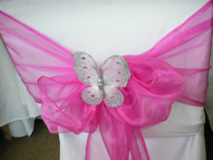 Butterflies For Weddings